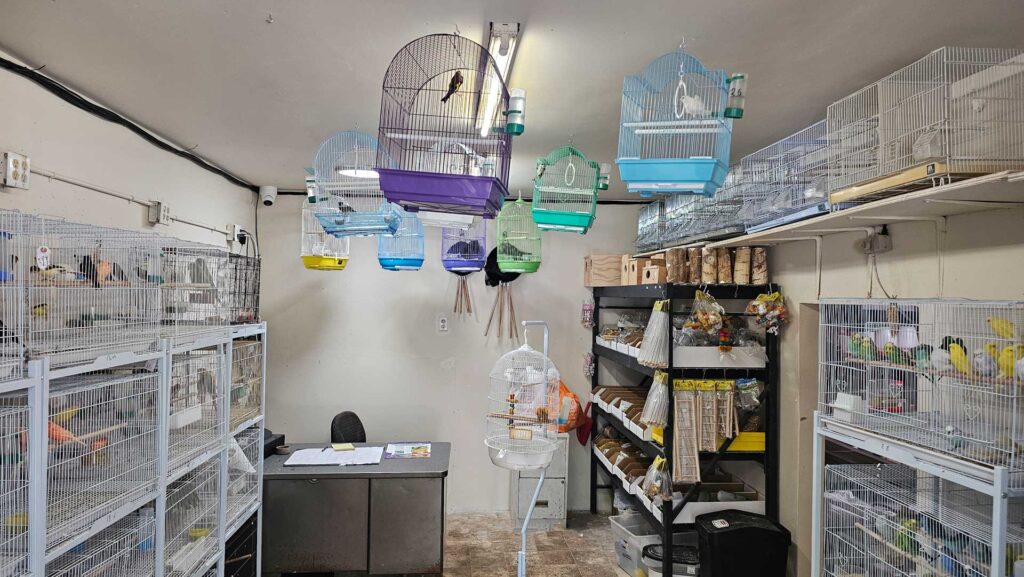 Bird Pet Shop Sun Valley, CA.